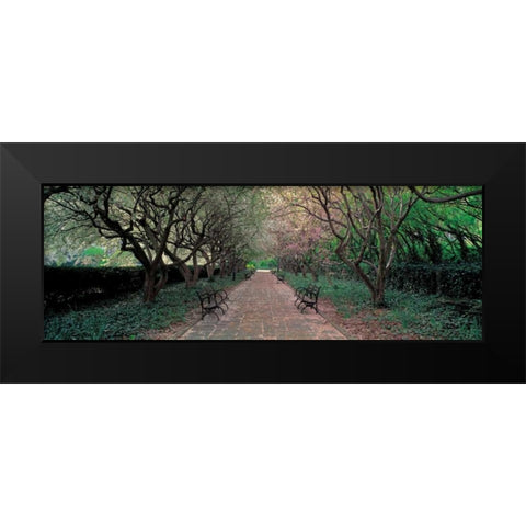 Through Conservatory Garden Central Park NYC Black Modern Wood Framed Art Print by Berenholtz, Richard