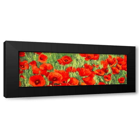 Poppy Field Black Modern Wood Framed Art Print with Double Matting by Mei, Silvia