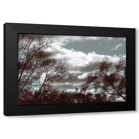 Looking Upward Black Modern Wood Framed Art Print with Double Matting by Romita, Denise