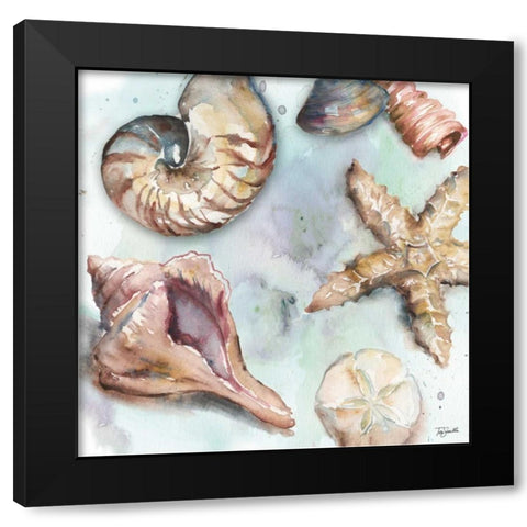 Watercolor Shell Toss II Black Modern Wood Framed Art Print with Double Matting by Tre Sorelle Studios