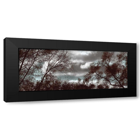 Looking Upward Panel Black Modern Wood Framed Art Print with Double Matting by Romita, Denise