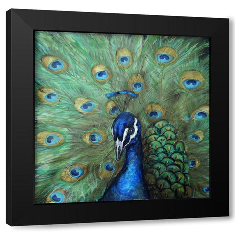 Painted Peacock Black Modern Wood Framed Art Print with Double Matting by Tre Sorelle Studios