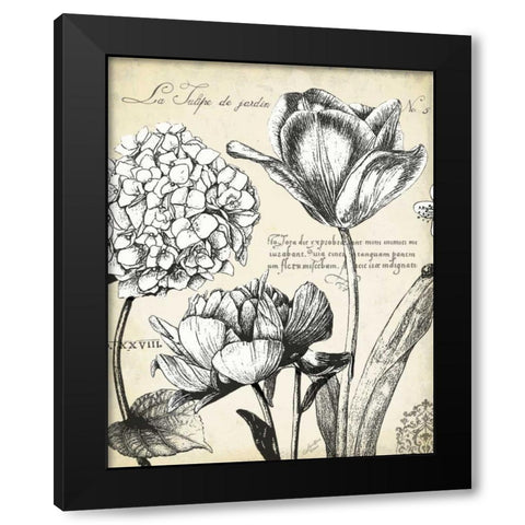 Pen and Ink Floral Study IV  Black Modern Wood Framed Art Print with Double Matting by Cusson, Marie Elaine