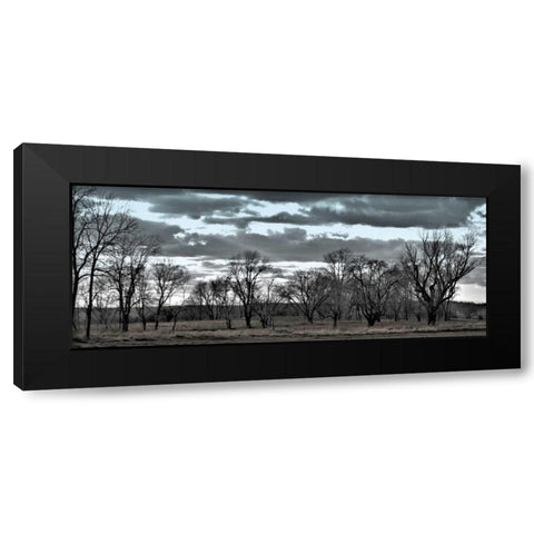 Big Sky    Black Modern Wood Framed Art Print by Romita, Denise
