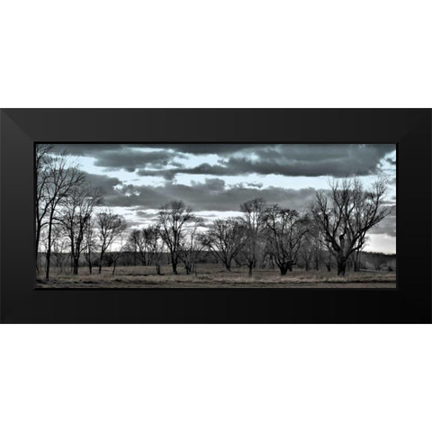 Big Sky    Black Modern Wood Framed Art Print by Romita, Denise