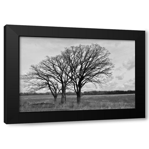 Standing Together Black Modern Wood Framed Art Print with Double Matting by Romita, Denise