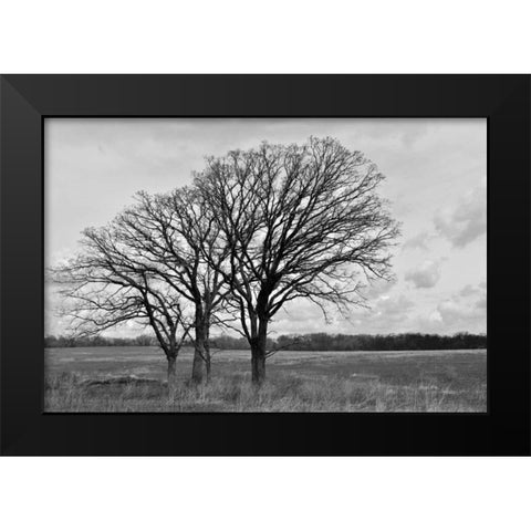 Standing Together Black Modern Wood Framed Art Print by Romita, Denise