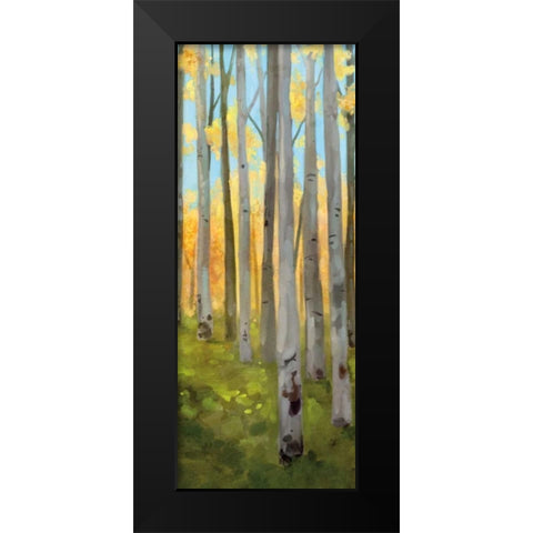 Birch Woods Panel II Black Modern Wood Framed Art Print by Milan, Vittorio