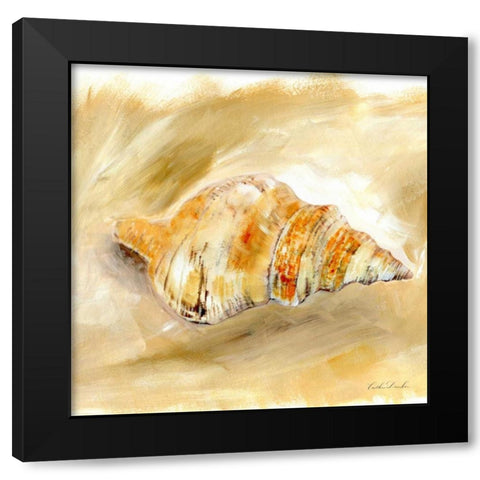 Painted Seashells IV  Black Modern Wood Framed Art Print by Dundon, Caitlin