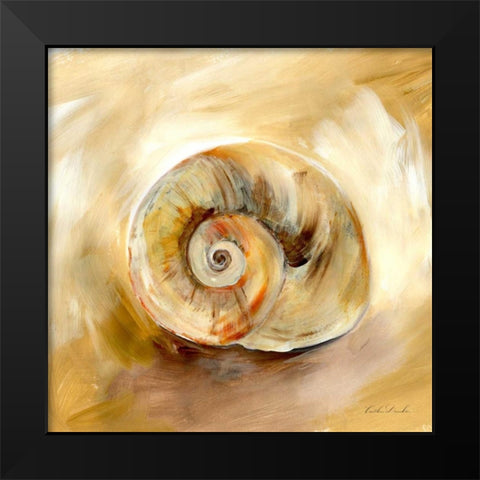 Painted Seashells V  Black Modern Wood Framed Art Print by Dundon, Caitlin
