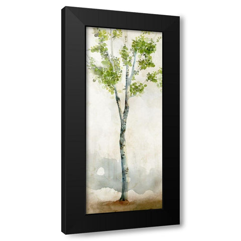 Watercolor Birch Trees I  Black Modern Wood Framed Art Print by Milan, Vittorio