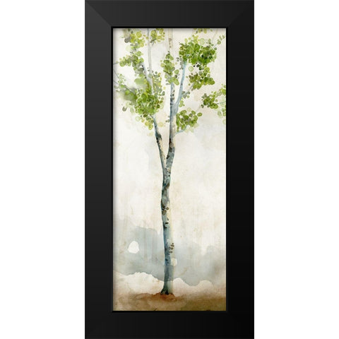 Watercolor Birch Trees I  Black Modern Wood Framed Art Print by Milan, Vittorio