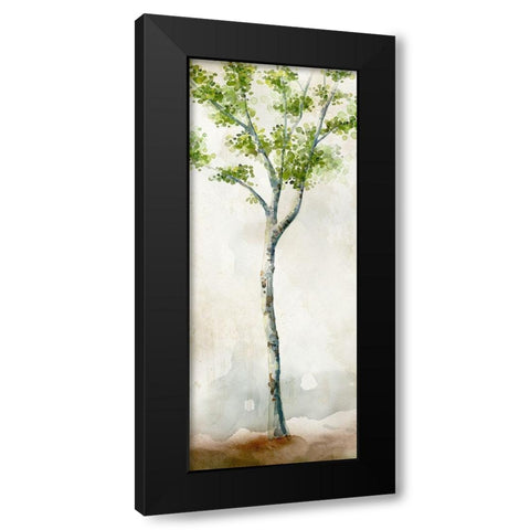 Watercolor Birch Trees II Black Modern Wood Framed Art Print with Double Matting by Milan, Vittorio