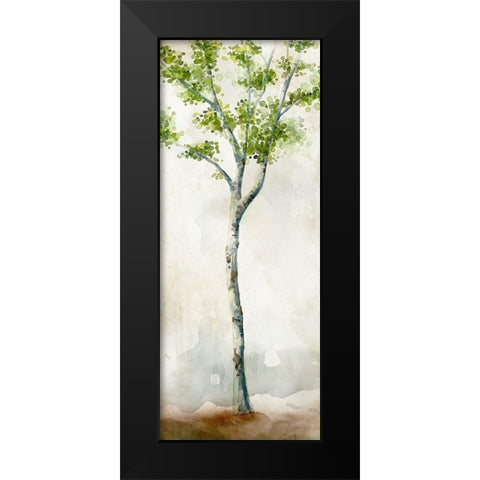 Watercolor Birch Trees II Black Modern Wood Framed Art Print by Milan, Vittorio