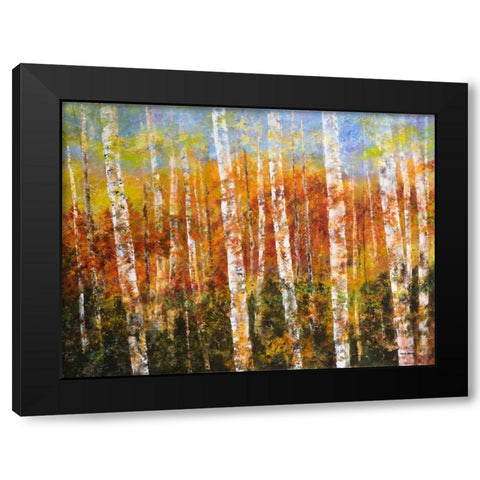 Autumn View Black Modern Wood Framed Art Print with Double Matting by Green, Edith