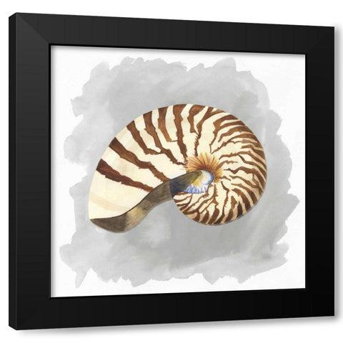 Shells on Grey III Black Modern Wood Framed Art Print by Reed, Tara