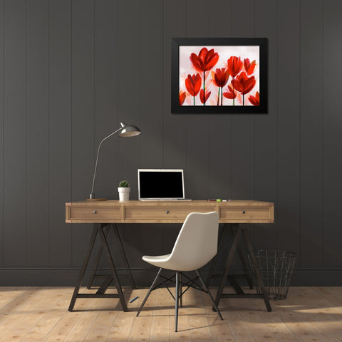 Contemporary Poppies Red Black Modern Wood Framed Art Print by Northern Lights