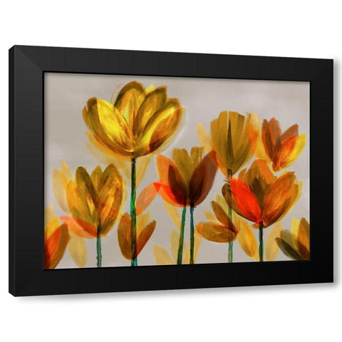 Contemporary Poppies Yellow Black Modern Wood Framed Art Print by Northern Lights