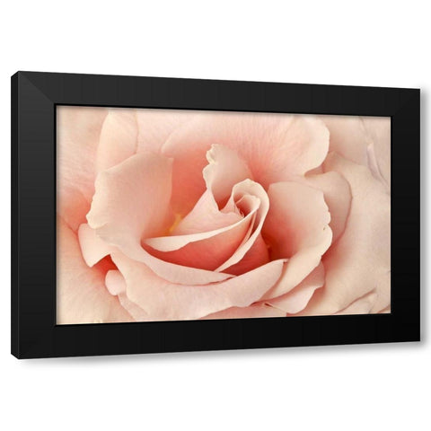 Rosa Black Modern Wood Framed Art Print with Double Matting by Michal, Susan