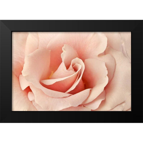 Rosa Black Modern Wood Framed Art Print by Michal, Susan