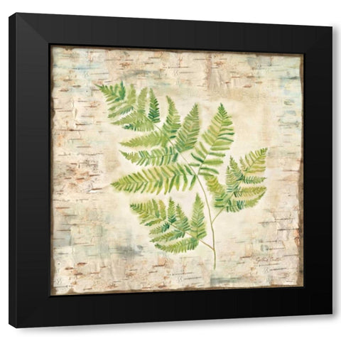 Birch Bark Ferns II Black Modern Wood Framed Art Print with Double Matting by Coulter, Cynthia