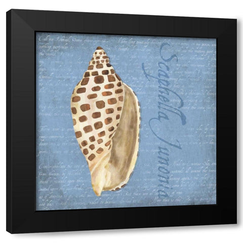 Oceanum Shells Blue II Black Modern Wood Framed Art Print by Reed, Tara