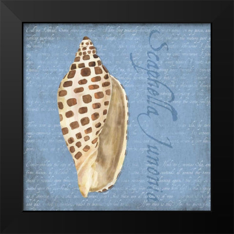 Oceanum Shells Blue II Black Modern Wood Framed Art Print by Reed, Tara