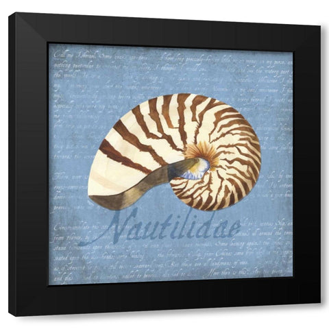 Oceanum Shells Blue III Black Modern Wood Framed Art Print with Double Matting by Reed, Tara