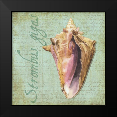 Oceanum Shells Green I Black Modern Wood Framed Art Print by Reed, Tara