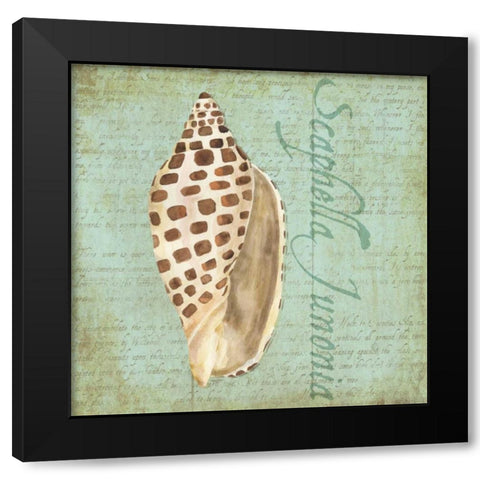 Oceanum Shells Green II Black Modern Wood Framed Art Print by Reed, Tara