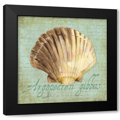 Oceanum Shells Green V Black Modern Wood Framed Art Print with Double Matting by Reed, Tara