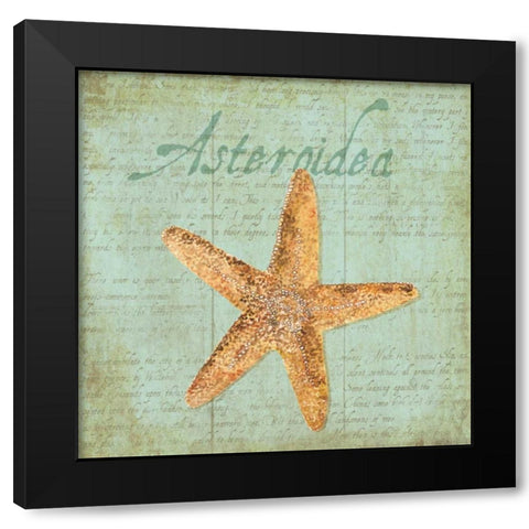 Oceanum Shells Green VI Black Modern Wood Framed Art Print with Double Matting by Reed, Tara