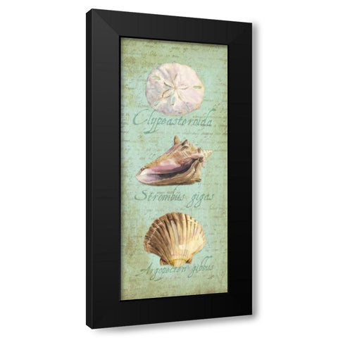 Oceanum Shell Panel Green I Black Modern Wood Framed Art Print with Double Matting by Reed, Tara