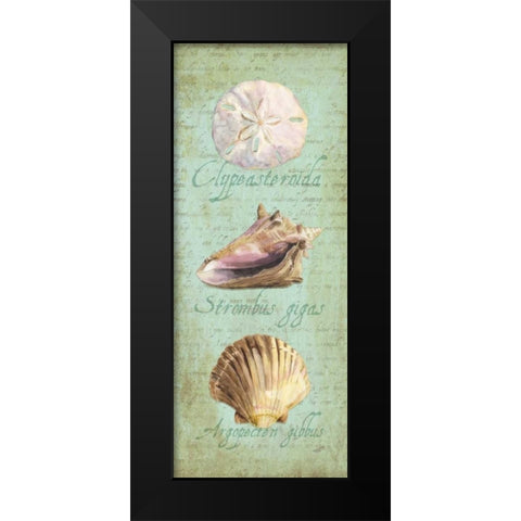 Oceanum Shell Panel Green I Black Modern Wood Framed Art Print by Reed, Tara