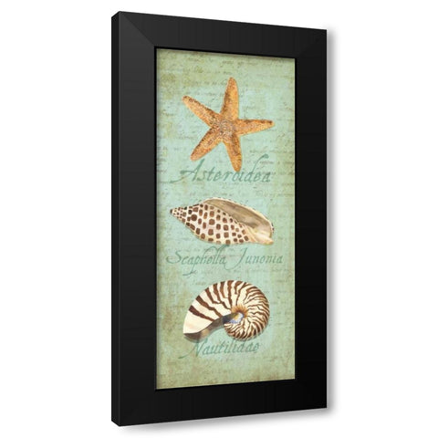 Oceanum Shell Panel Green II Black Modern Wood Framed Art Print by Reed, Tara