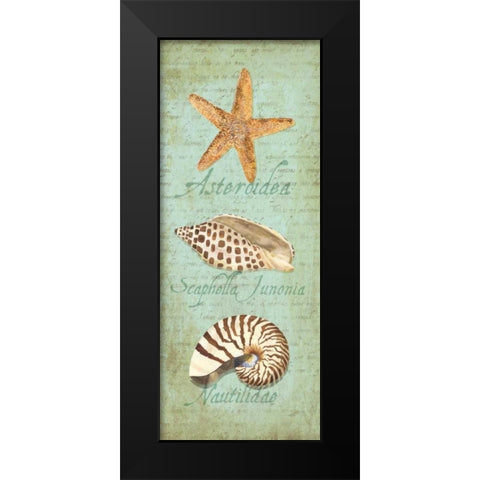 Oceanum Shell Panel Green II Black Modern Wood Framed Art Print by Reed, Tara