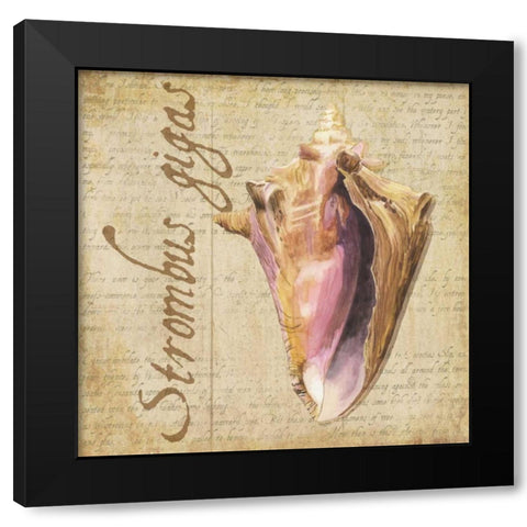 Oceanum Shells Beige I Black Modern Wood Framed Art Print with Double Matting by Reed, Tara