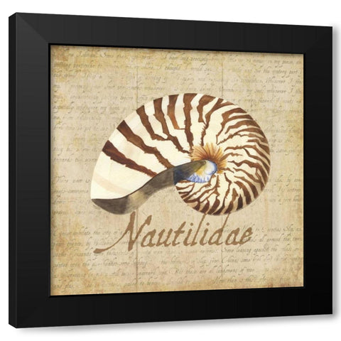 Oceanum Shells Beige III Black Modern Wood Framed Art Print by Reed, Tara