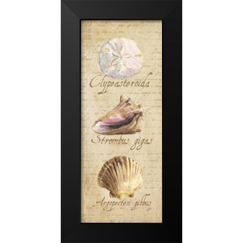 Oceanum Shell Panel Beige I Black Modern Wood Framed Art Print by Reed, Tara