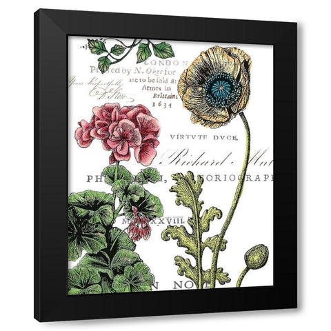 Botanical Postcard Color III Black Modern Wood Framed Art Print by Cusson, Marie Elaine