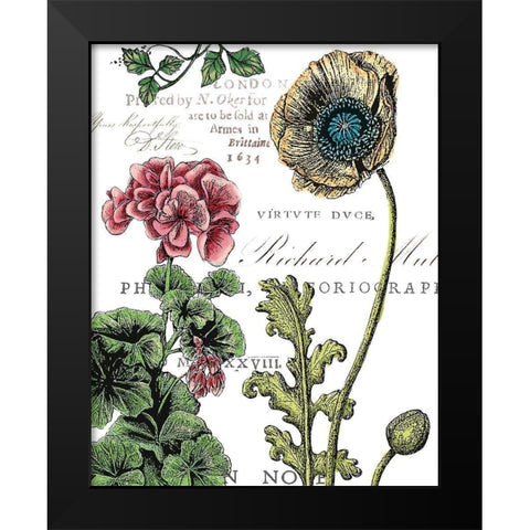 Botanical Postcard Color III Black Modern Wood Framed Art Print by Cusson, Marie Elaine
