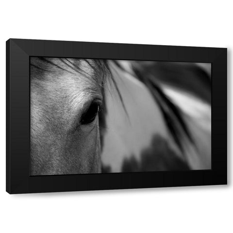 One Eye Black Modern Wood Framed Art Print with Double Matting by Tyrrell, Lu Anne