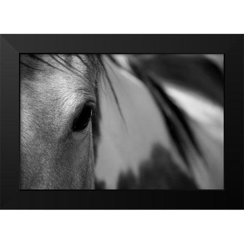 One Eye Black Modern Wood Framed Art Print by Tyrrell, Lu Anne