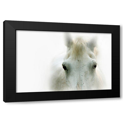 Blanco Black Modern Wood Framed Art Print by Tyrrell, Lu Anne