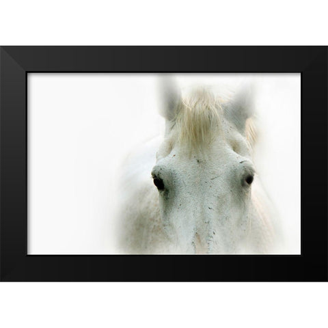 Blanco Black Modern Wood Framed Art Print by Tyrrell, Lu Anne