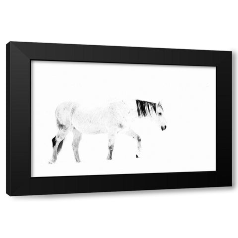 Equine Black Modern Wood Framed Art Print by Tyrrell, Lu Anne