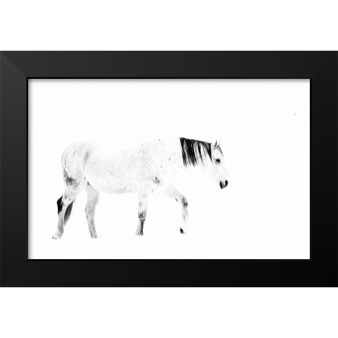 Equine Black Modern Wood Framed Art Print by Tyrrell, Lu Anne
