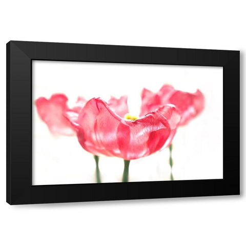 Three Tulips Black Modern Wood Framed Art Print by Tyrrell, Lu Anne