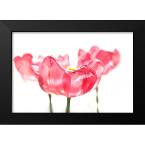 Three Tulips Black Modern Wood Framed Art Print by Tyrrell, Lu Anne