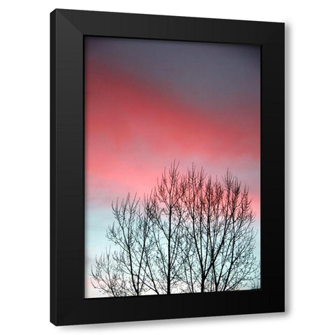 Twilight Sunset panel set Black Modern Wood Framed Art Print with Double Matting by Tyrrell, Lu Anne